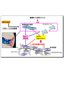 クリックすると拡大画像が表示されます